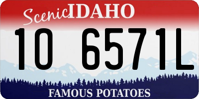 ID license plate 1O6571L
