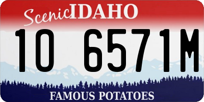 ID license plate 1O6571M