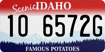 ID license plate 1O6572G