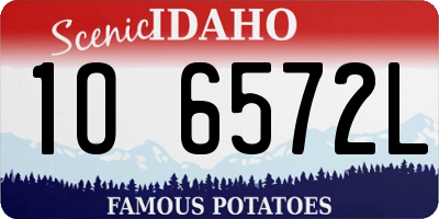 ID license plate 1O6572L