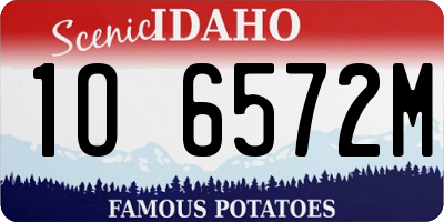ID license plate 1O6572M