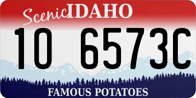 ID license plate 1O6573C