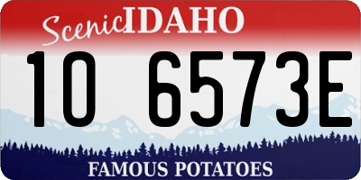ID license plate 1O6573E