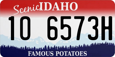 ID license plate 1O6573H