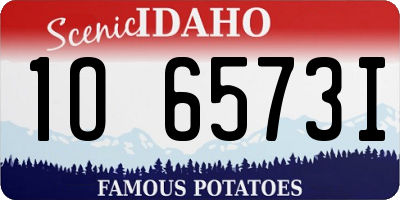 ID license plate 1O6573I