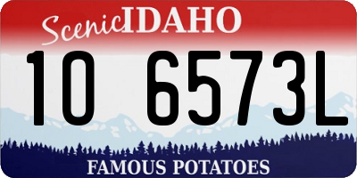ID license plate 1O6573L