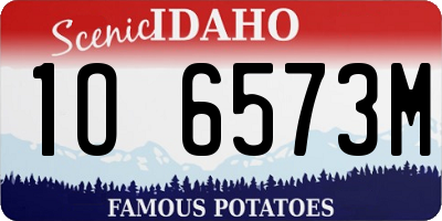 ID license plate 1O6573M