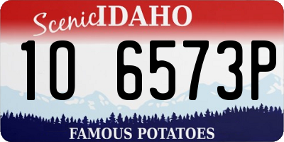 ID license plate 1O6573P