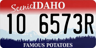 ID license plate 1O6573R