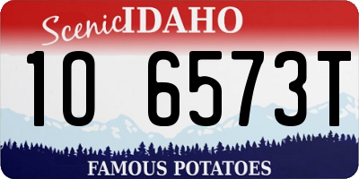 ID license plate 1O6573T