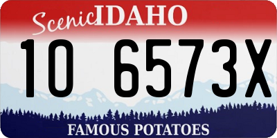 ID license plate 1O6573X
