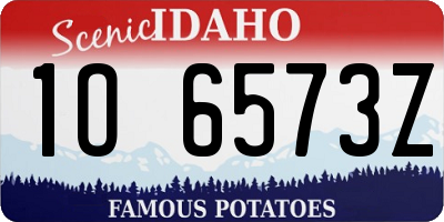 ID license plate 1O6573Z