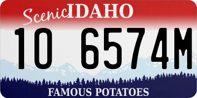 ID license plate 1O6574M
