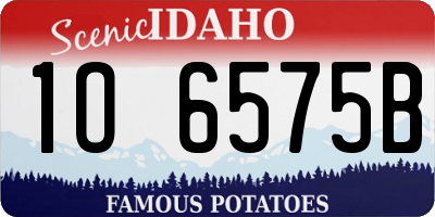 ID license plate 1O6575B