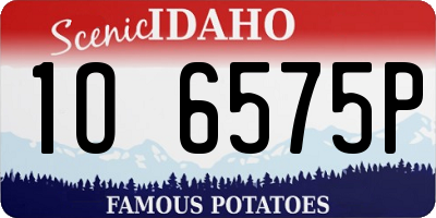 ID license plate 1O6575P
