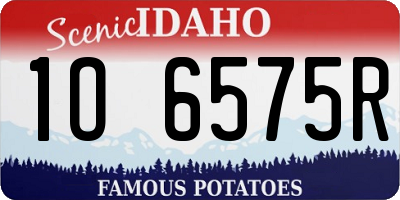 ID license plate 1O6575R