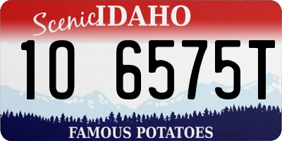 ID license plate 1O6575T