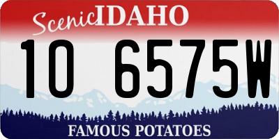 ID license plate 1O6575W
