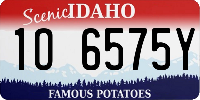 ID license plate 1O6575Y