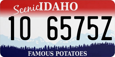 ID license plate 1O6575Z