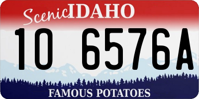 ID license plate 1O6576A