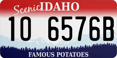 ID license plate 1O6576B