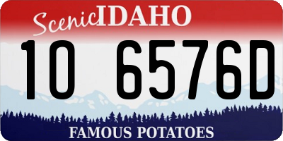 ID license plate 1O6576D