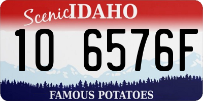 ID license plate 1O6576F