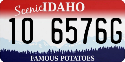ID license plate 1O6576G