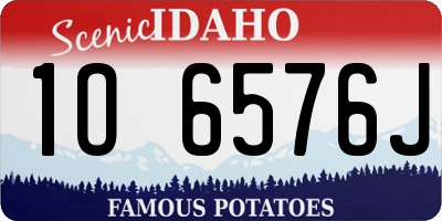ID license plate 1O6576J