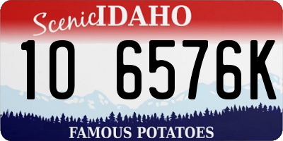 ID license plate 1O6576K