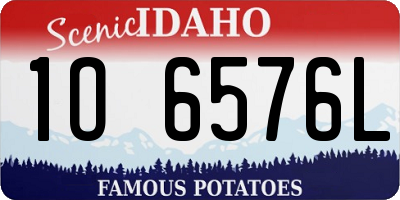 ID license plate 1O6576L