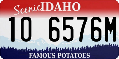 ID license plate 1O6576M