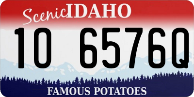 ID license plate 1O6576Q