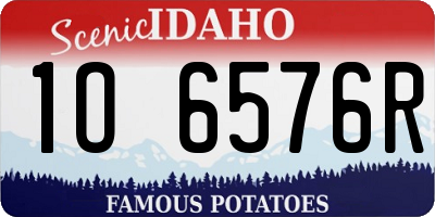 ID license plate 1O6576R