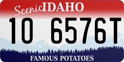 ID license plate 1O6576T