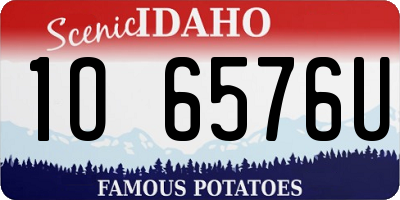 ID license plate 1O6576U