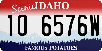 ID license plate 1O6576W