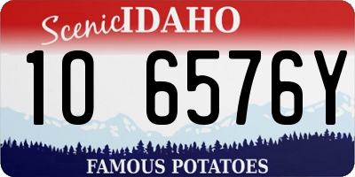 ID license plate 1O6576Y