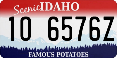 ID license plate 1O6576Z