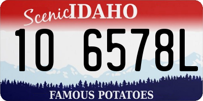 ID license plate 1O6578L