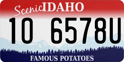ID license plate 1O6578U
