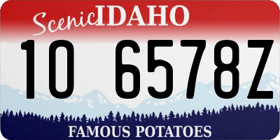 ID license plate 1O6578Z