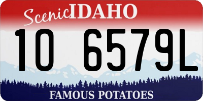 ID license plate 1O6579L