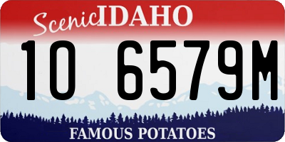 ID license plate 1O6579M