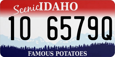 ID license plate 1O6579Q