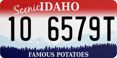 ID license plate 1O6579T
