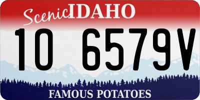 ID license plate 1O6579V