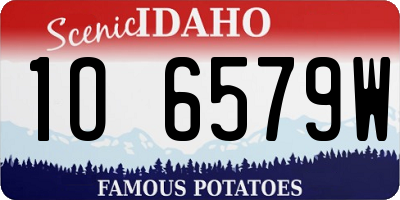ID license plate 1O6579W
