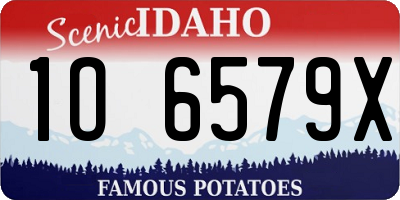 ID license plate 1O6579X